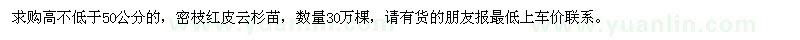 求購密枝紅皮云杉苗
