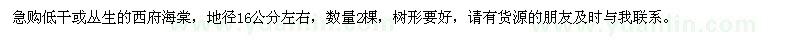 求購西府海棠