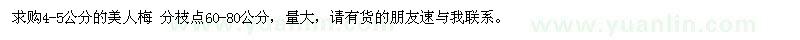 求購4-5公分的美人梅