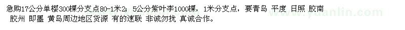 求購17公分單櫻、5公分紫葉李