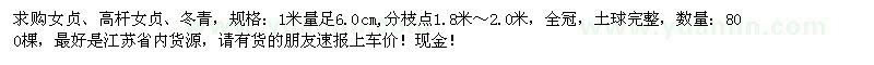 求購女貞、高桿女貞、冬青