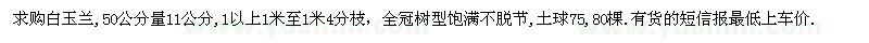 求購11公分白玉蘭