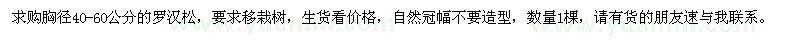 求購羅漢松
