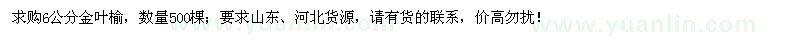 求購6公分金葉榆500棵