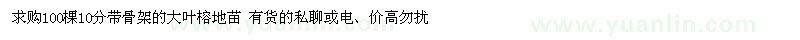 求購100棵10分帶骨架的大葉榕地苗 