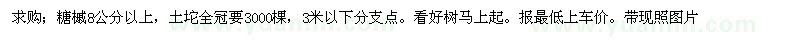 求購(gòu)糖槭8公分以上 3000棵 