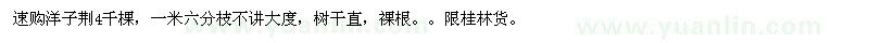 求購速購洋子荊4千棵 樹干直，裸根 