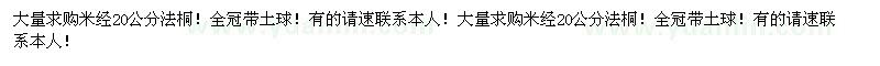 求購(gòu)米經(jīng)20公分法桐！ 