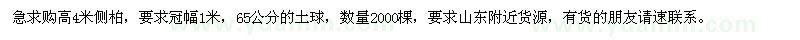 求購高4米側柏2000棵