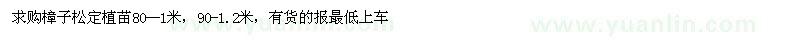 求購樟子松定植苗 