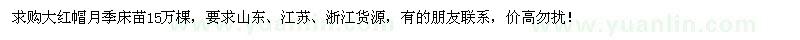 求購大紅帽月季床苗15萬棵