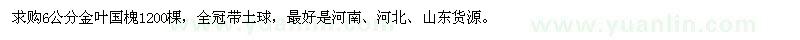 求購(gòu)6公分金葉國(guó)槐1200棵