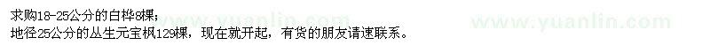 求購(gòu)18-25公分的白樺,地徑25公分的叢生元寶楓