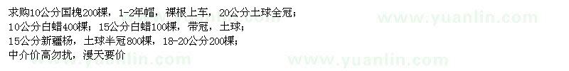 求購(gòu)國(guó)槐,白蠟,新疆楊