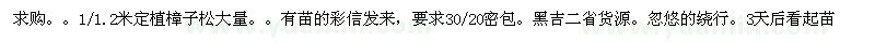 求購定植樟子松 