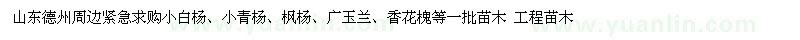求購小白楊、小青楊、楓楊、廣玉蘭、香花槐等一批苗木 