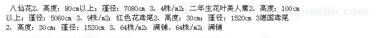 求購(gòu)八仙花、花葉美人蕉、鳶尾、德國(guó)鳶尾