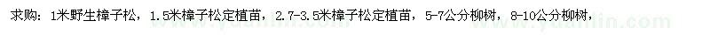 求購樟子松定植苗 柳樹(shù) 