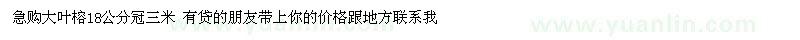 求購大葉榕18公分冠三米