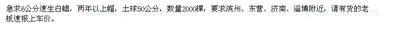 求購(gòu)6公分速生白蠟2000棵
