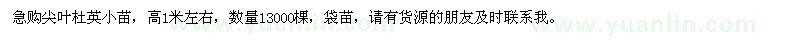 求購尖葉杜英小苗