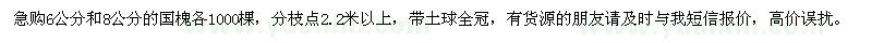 求購(gòu)6公分、8公分的國(guó)槐