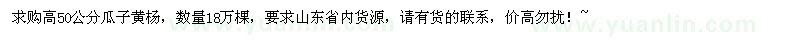 求購高50公分瓜子黃楊18萬棵