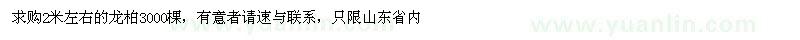 求購(gòu)2米左右的龍柏3000棵