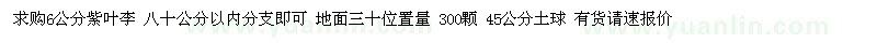求購6公分紫葉李