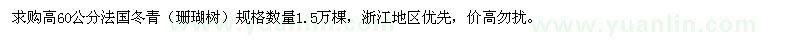 求購高60公分法國冬青