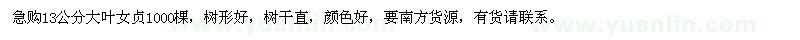 求購13公分大葉女貞1000棵