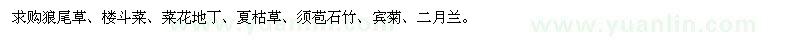 求購(gòu)狼尾草、耬斗菜、菜花地丁等