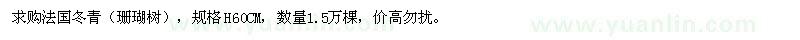 求購法國冬青
