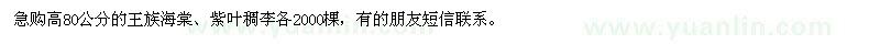 求購(gòu)急高80公分的王族海棠,紫葉稠李