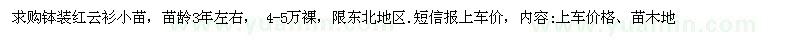 求購缽裝紅云衫小苗