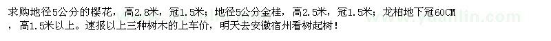 求購(gòu)櫻花,金桂,龍柏