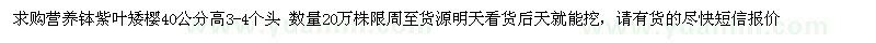 求購紫葉矮櫻