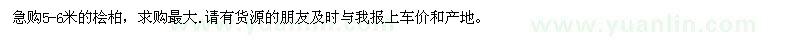 求購5-6米的檜柏，求購量大