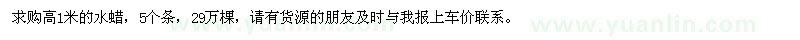 求購50Cm—60Cm云杉苗