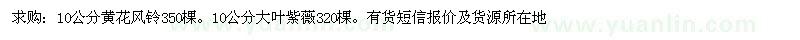 求購黃花風(fēng)鈴 大葉紫薇 
