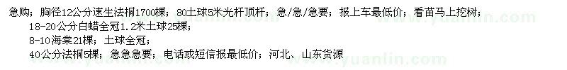 求購速生法桐、白蠟、海棠、法桐