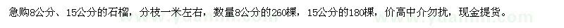 求購8、15公分的石榴