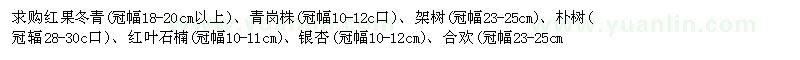 求購紅果冬青 樸樹 紅葉石楠等