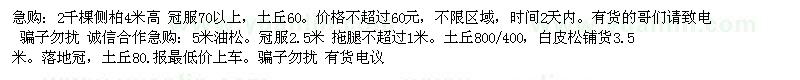 求購(gòu)側(cè)柏、油松、白皮松