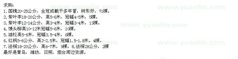 求購國槐、紫葉李、饅頭柳、油松、紅楓、法桐