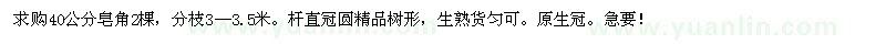 求購40公分皂角2棵