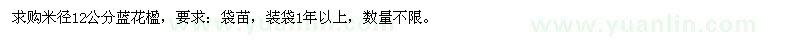 求購米徑12公分藍(lán)花楹