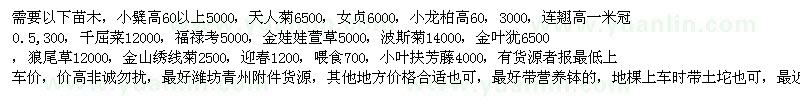 求購小糪女貞小龍柏連翹珍珠梅繡線菊迎春扶芳藤天人菊千屈菜福祿考