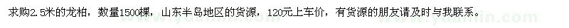 求購2.5米的龍柏