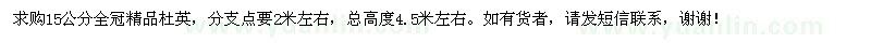 求購15公分全冠精品杜英